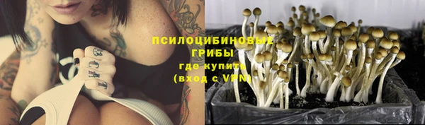 МДПВ Нефтекумск