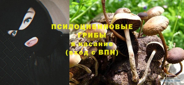 ALPHA-PVP Новозыбков