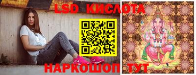 ПСИЛОЦИБИНОВЫЕ ГРИБЫ Аргун