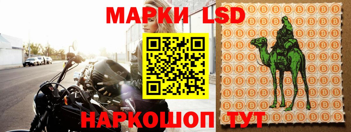 kraken tor  ЛСД экстази ecstasy  Шумерля  LSD-25 экстази ecstasy 