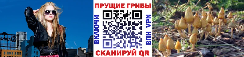 Псилоцибиновые грибы прущие грибы  Шумерля 