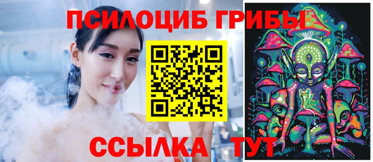 Шумерля  Псилоцибиновые грибы Psilocybe  Вход с VPN  купить наркотики цена  Псилоцибиновые грибы Psilocybine cubensis 