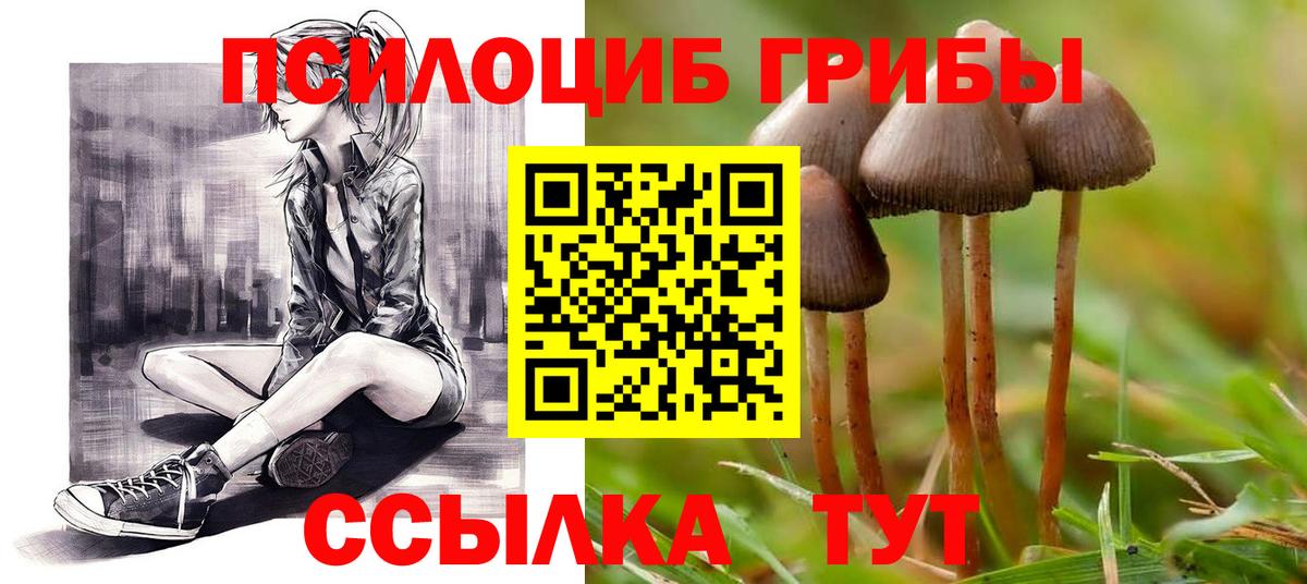 Марки  Ляпка  КОКАИН  Альфа ПВП  Шумерля  МЕФ  Марихуана  Вход с VPN 