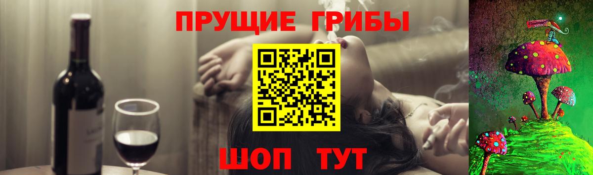 Псилоцибиновые грибы мицелий  Галлюциногенные грибы прущие грибы  Шумерля 