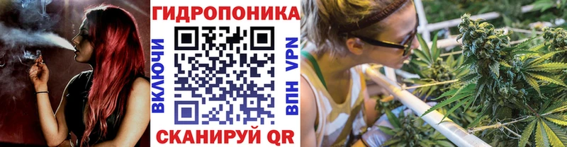 Канабис гибрид Шумерля